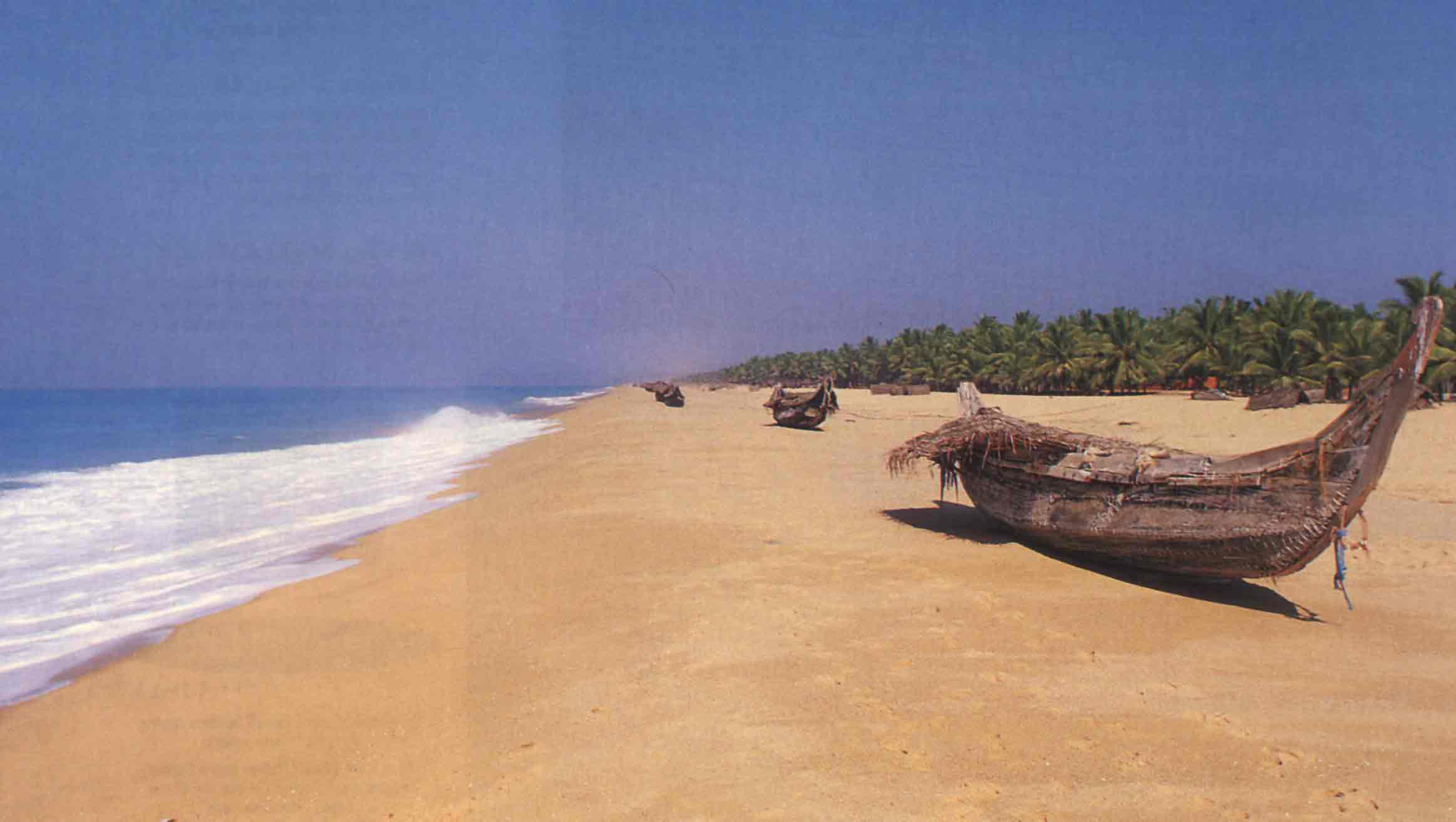 poovar india